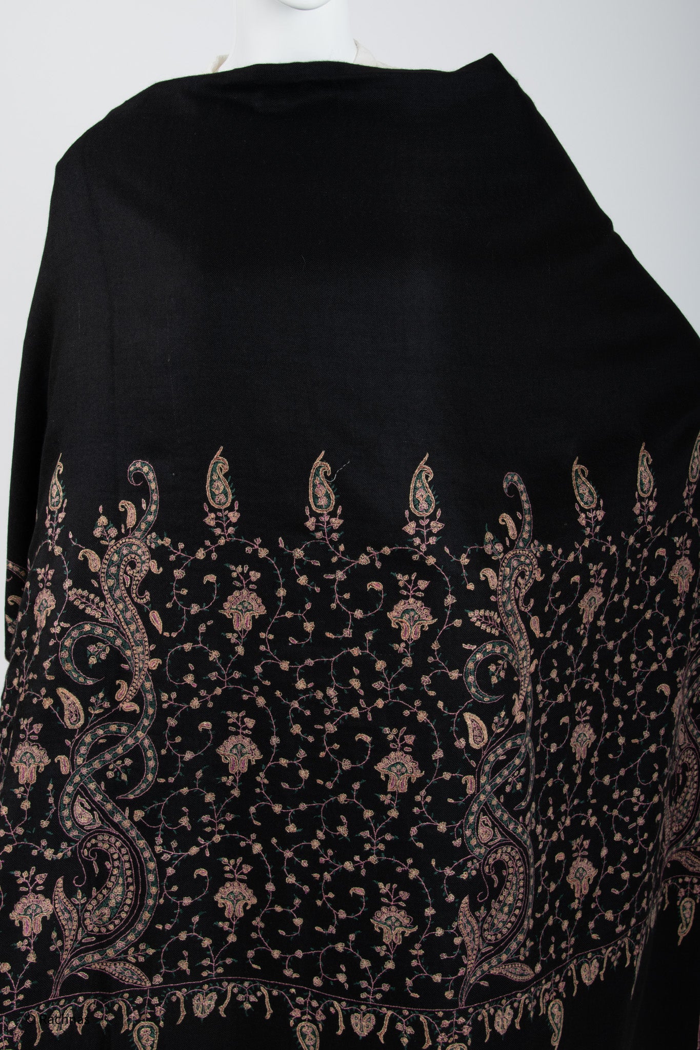 Pashmina Shawl black border embroidered