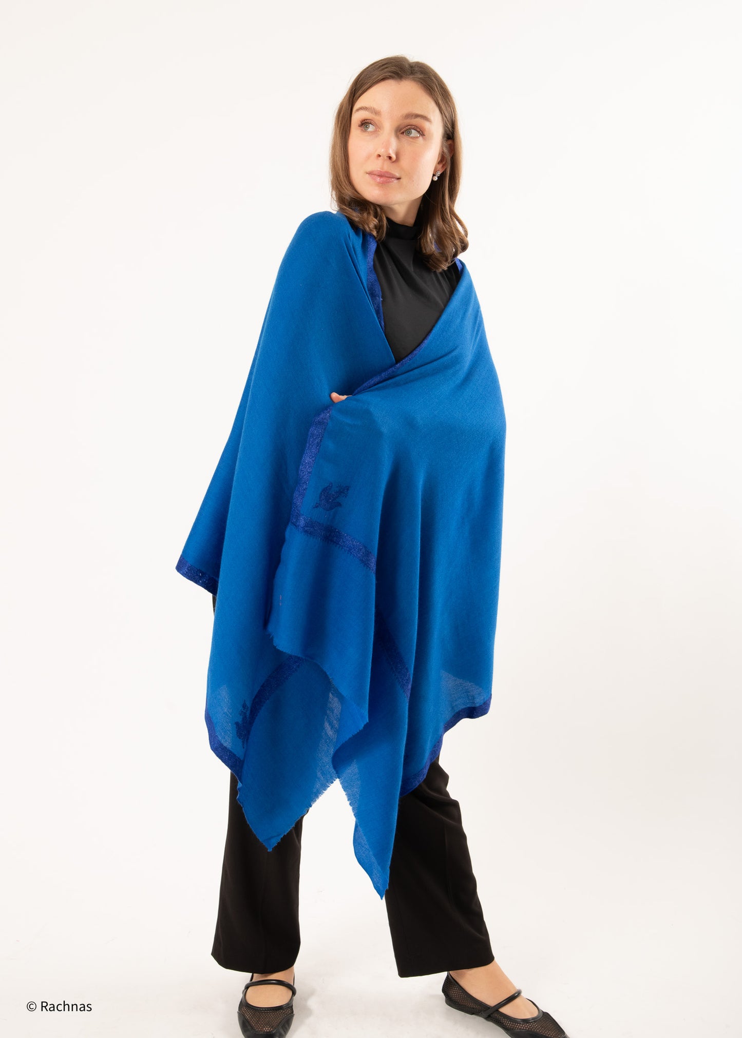 Cashmere Needle work Hashidar 4 sides border