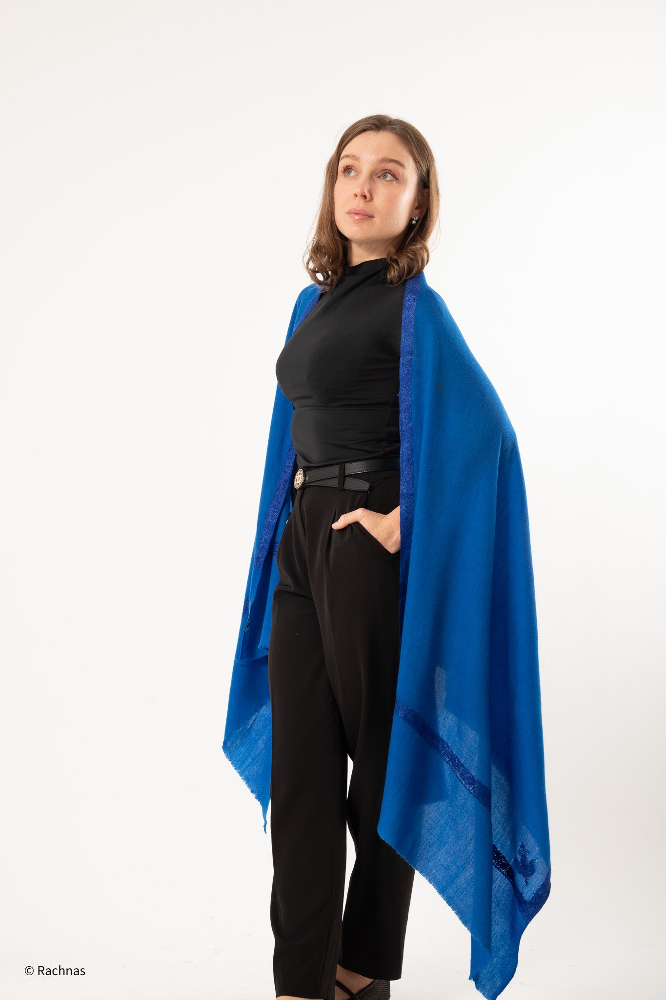 Cashmere Needle work Hashidar 4 sides border