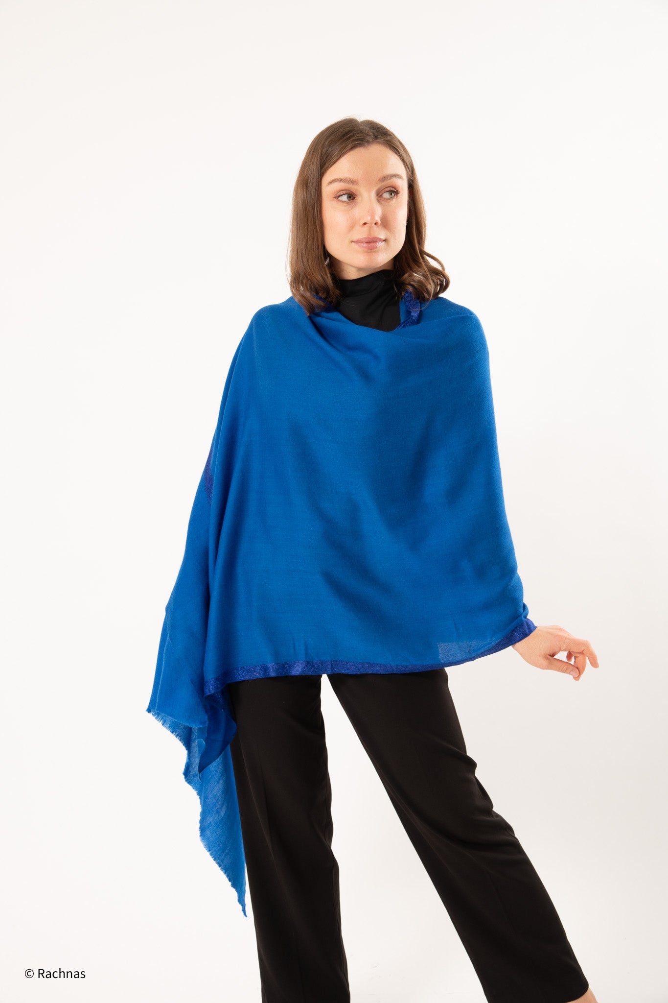 Cashmere Needle work Hashidar 4 sides border